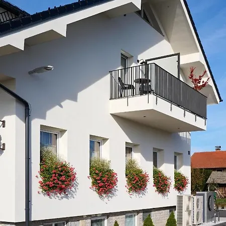 Hisa Ancka, Sencur - 3 Min To The Airport 3* Kranj